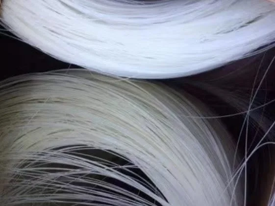 polyester monofilament