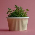 Food-Safe Anti-Hydrolysis Solutions for PLA/PBAT in High-Temperature and Moisture Applications