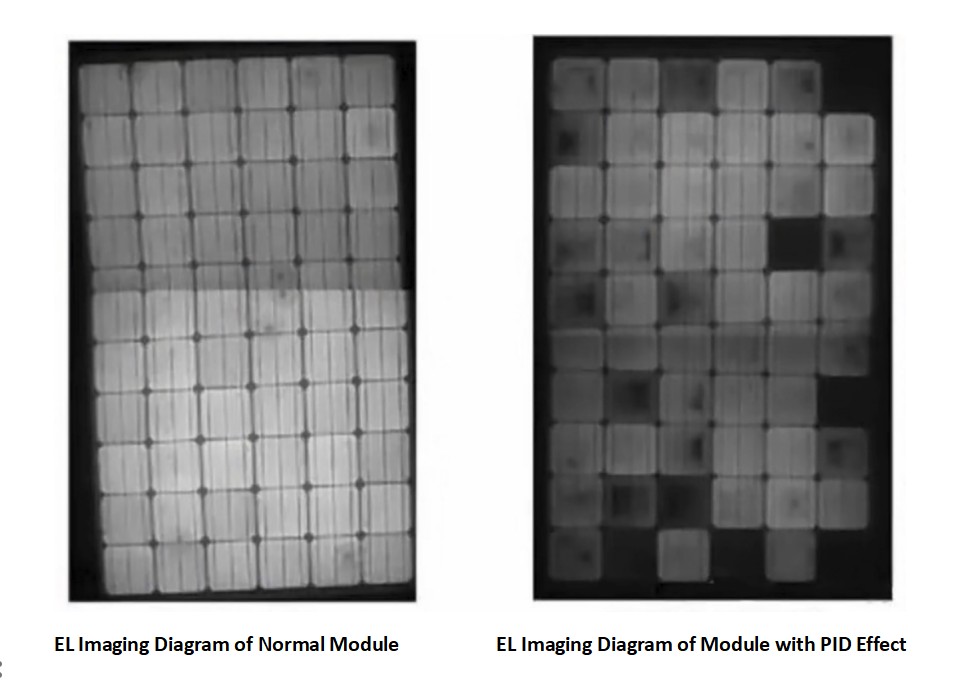 EL imaging of normal module and anti-pid module
