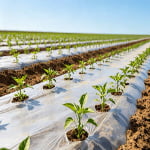 PLA Hydrolysis Prevention: A Practical Guide?