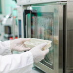 PLA/PBAT Chain Extender vs Anti-Hydrolysis Agent: Which One Do You Need?